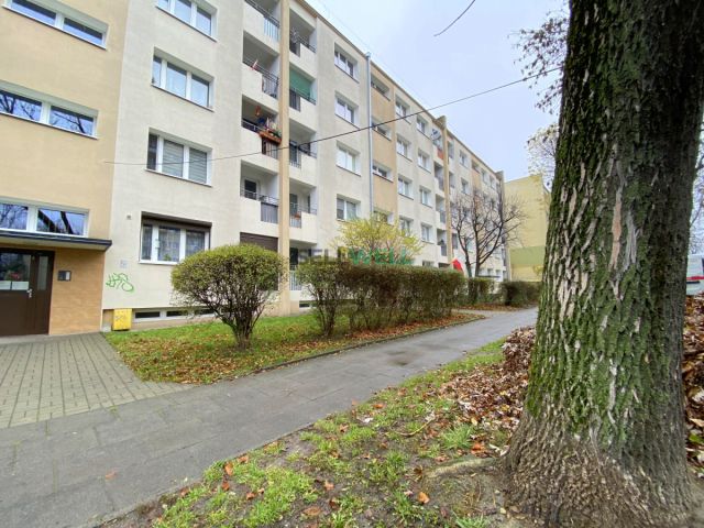 Mieszkanie 2-pokojowe Łódź Polesie, ul. Walerego Wróblewskiego. Zdjęcie 11