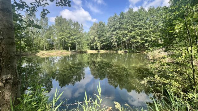 Działka rekreacyjna Osieczna. Zdjęcie 28