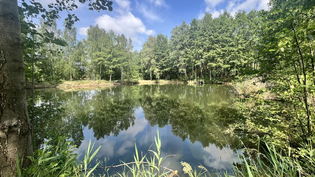 Działka rekreacyjna Osieczna. Zdjęcie 28