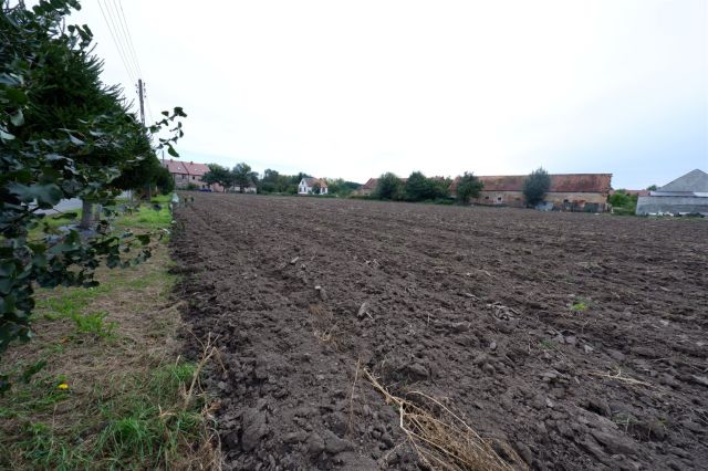 Działka budowlana Wszemiłowice Jurczyce. Zdjęcie 5