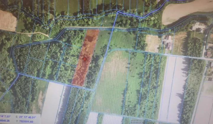 Działka siedliskowa Zgórsko