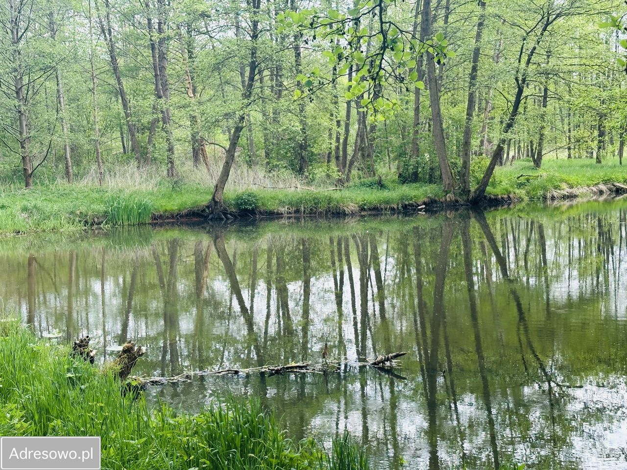 Działka rekreacyjna Ldzań. Zdjęcie 13