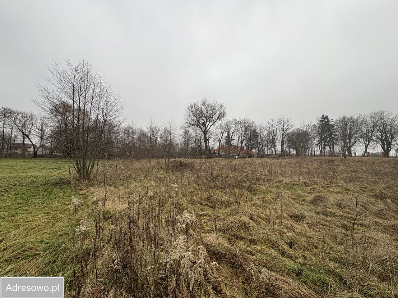 Działka budowlana Siennica, ul. gen. Władysława Sikorskiego. Zdjęcie 9