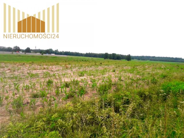 Działka rolna Cegłów. Zdjęcie 6