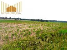 Działka rolna Cegłów. Zdjęcie 4
