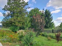 Działka rod Zamość, ul. Czesława Miłosza. Zdjęcie 4