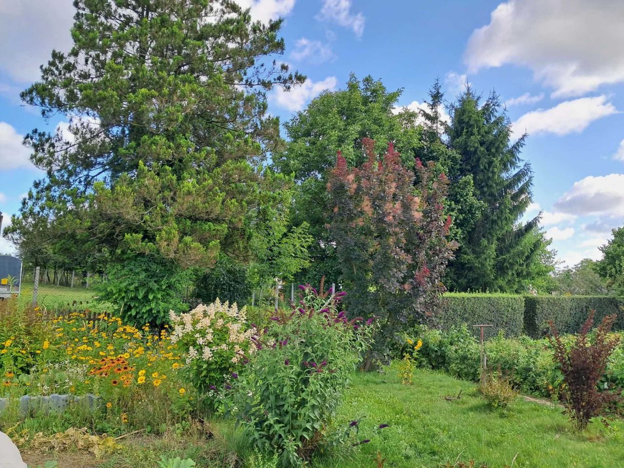 Działka rod Zamość, ul. Czesława Miłosza. Zdjęcie 5