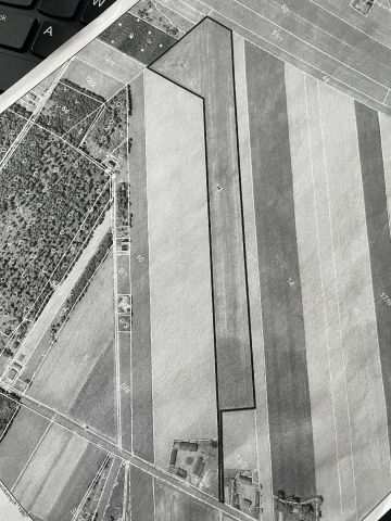 Działka rolna Luboniek. Zdjęcie 1