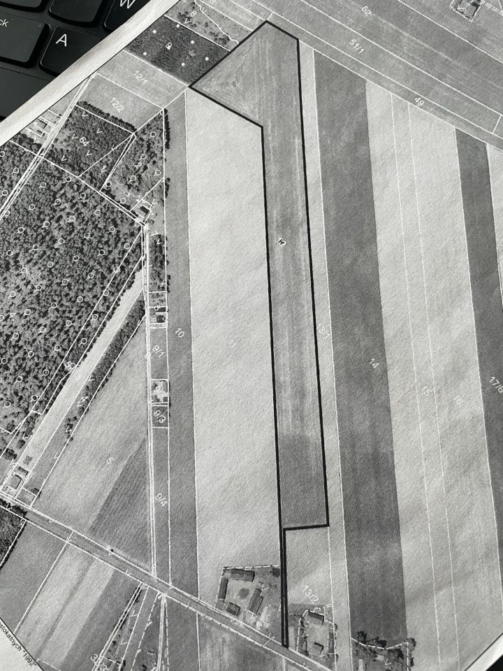 Działka rolna Luboniek. Zdjęcie 1