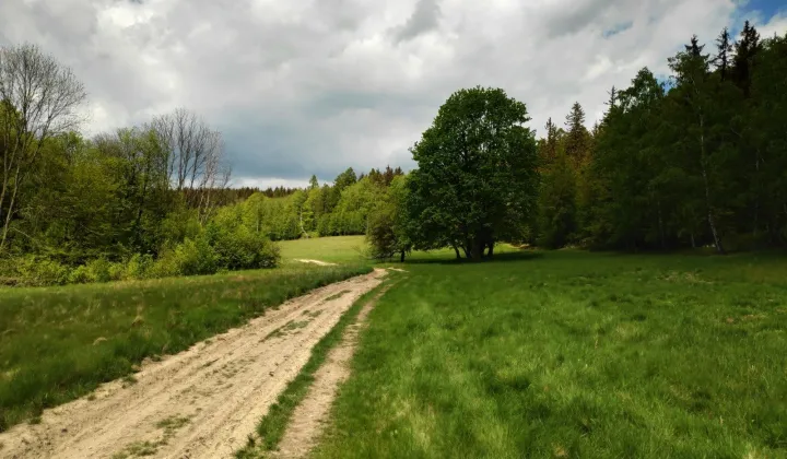 Działka budowlana Nowa Bystrzyca