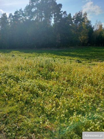 Działka budowlana Marchaty. Zdjęcie 1