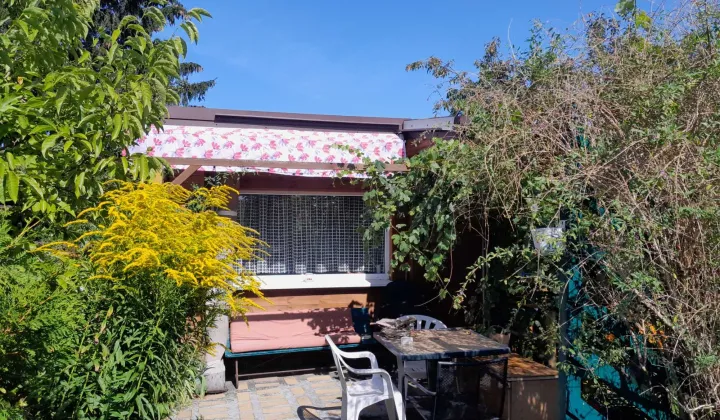 Działka rod Toruń Wrzosy