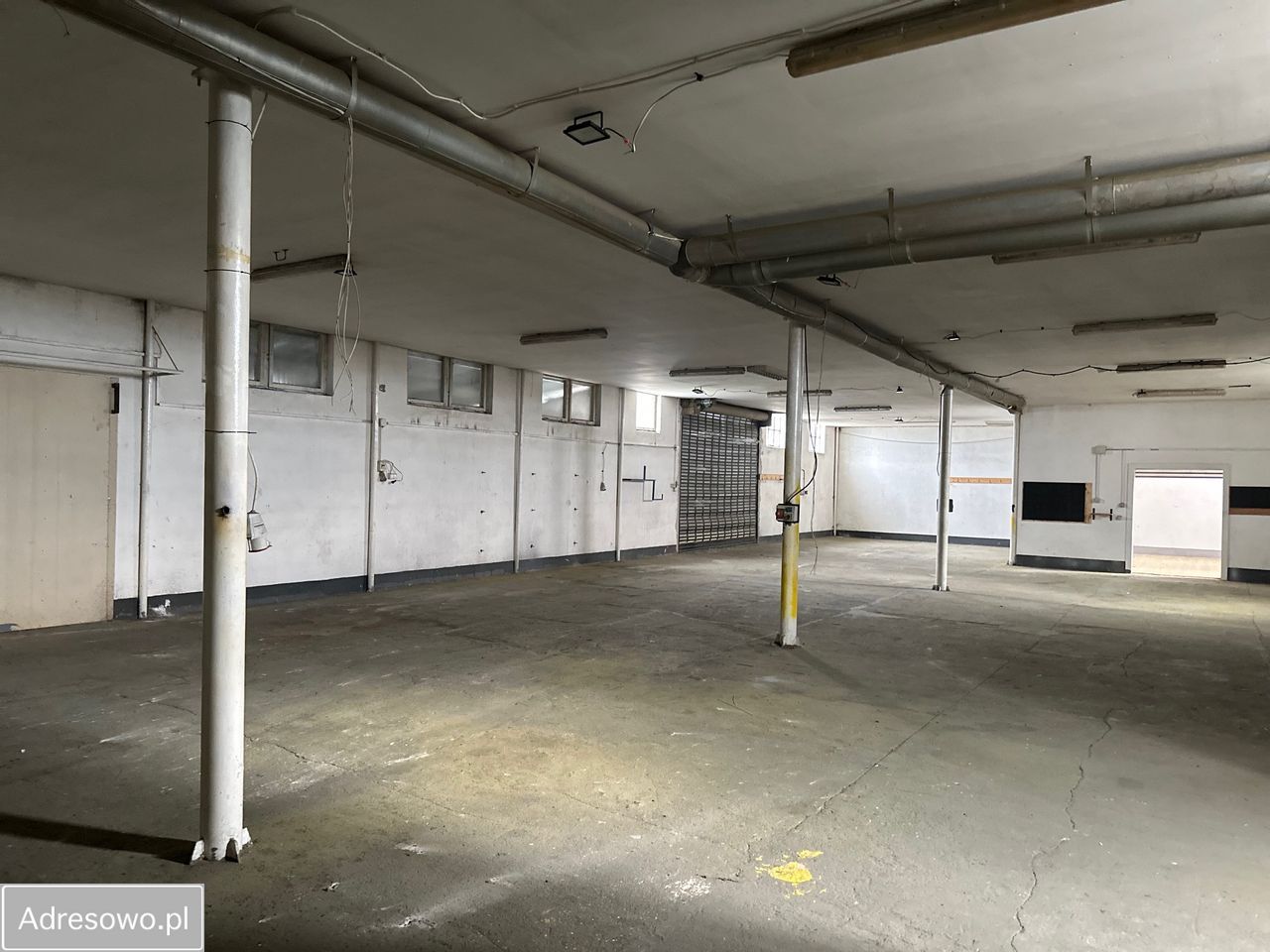 Hala/magazyn Borzęcin