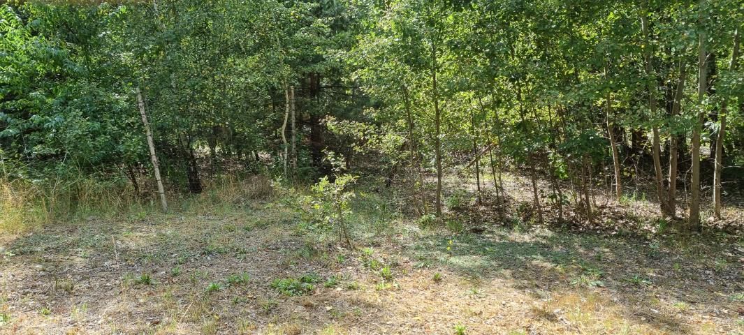 Działka budowlana Rusiec. Zdjęcie 7