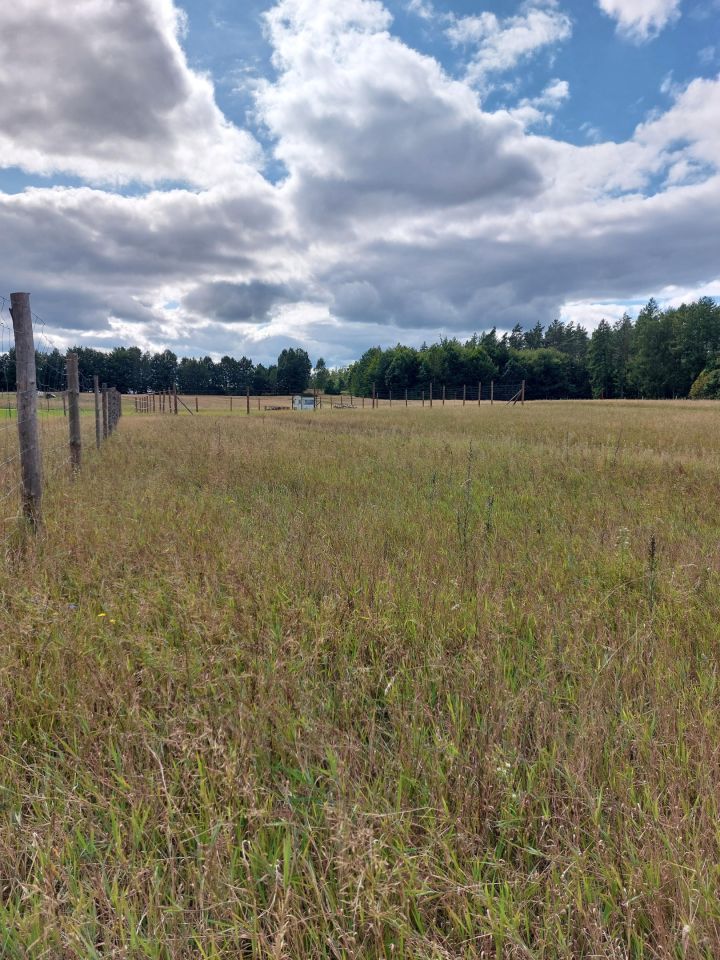 Działka budowlana Pieski. Zdjęcie 6