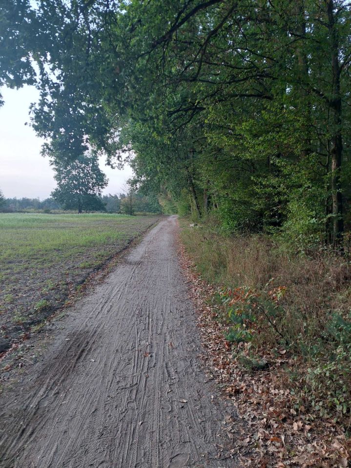 Działka rolna Karwieńskie Błoto Drugie. Zdjęcie 4