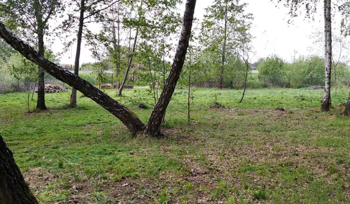 Działka rekreacyjna Grabniak