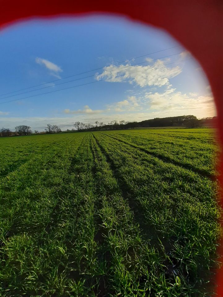 Działka rolna Trzebawie. Zdjęcie 3