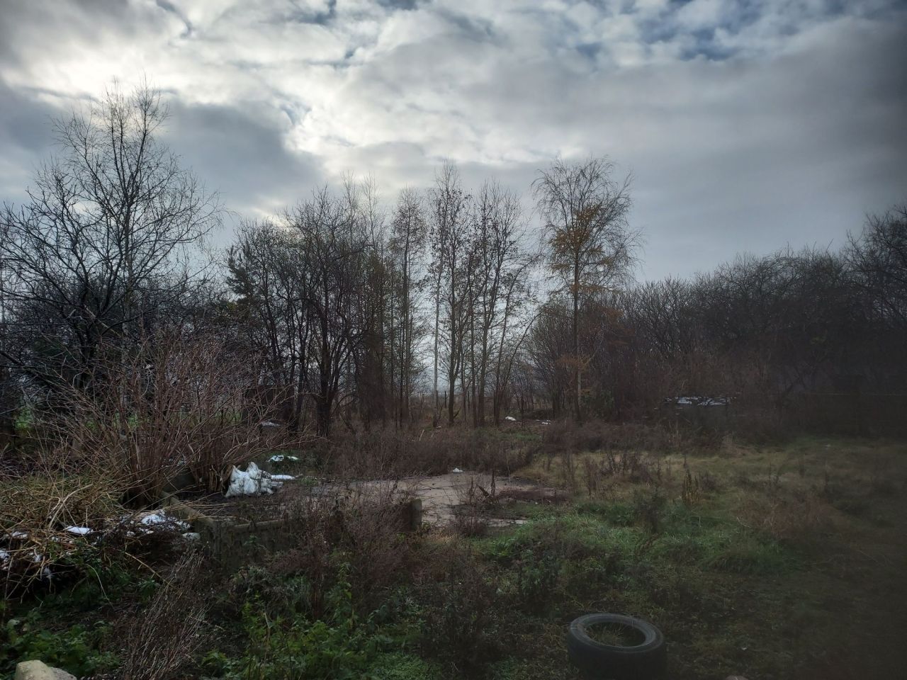 Lokal Antoninów. Zdjęcie 7