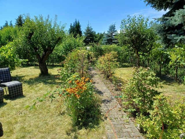 Działka rekreacyjna Łódź Łagiewniki, ul. Przyklasztorze. Zdjęcie 1