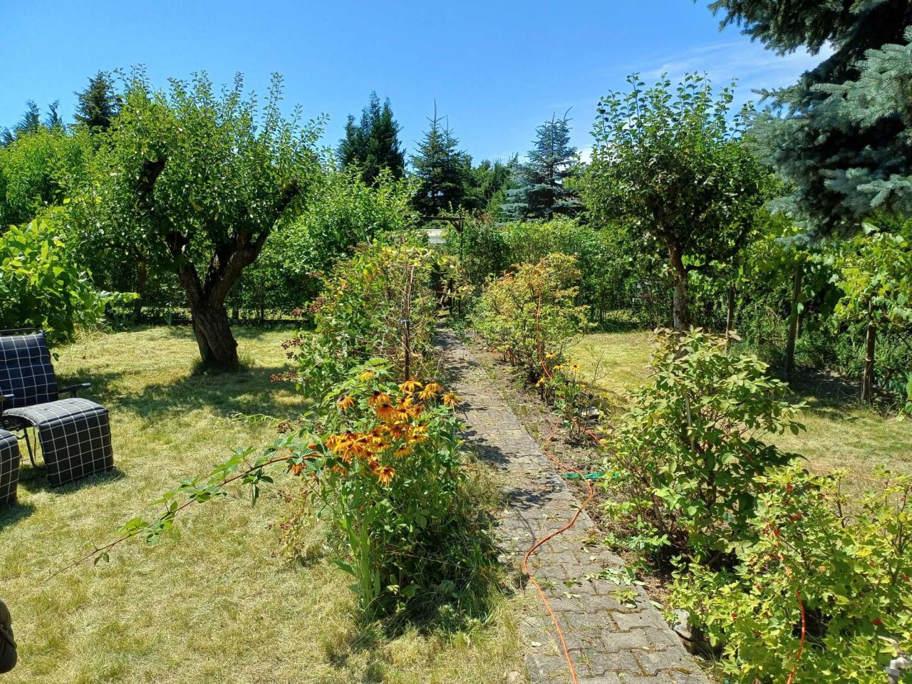 Działka rekreacyjna Łódź Łagiewniki, ul. Przyklasztorze