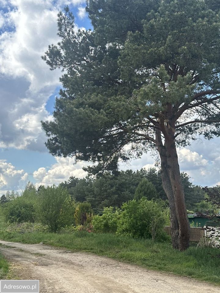 Działka rolna Zielona Góra Centrum, ul. Stefana Batorego. Zdjęcie 2