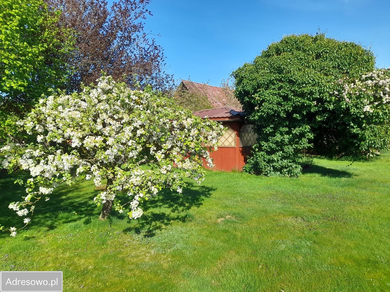 dom wolnostojący, 6 pokoi Wierzchowo. Zdjęcie 5