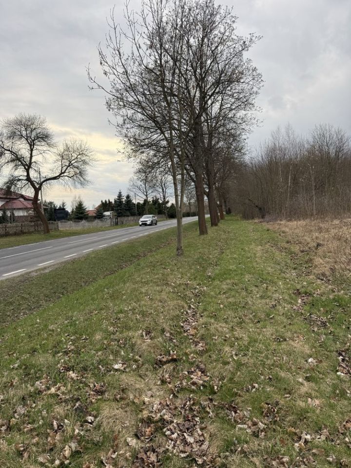 Działka budowlana Lipinki Łużyckie, ul. Żarska. Zdjęcie 8