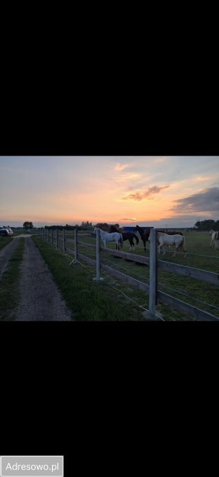 Działka budowlana Łazy. Zdjęcie 5