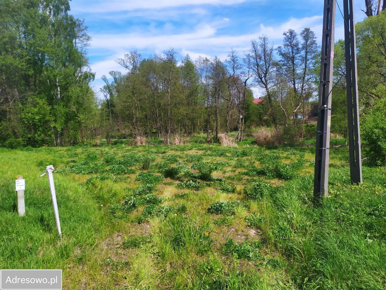Działka budowlana Dąbrówka Mała. Zdjęcie 10
