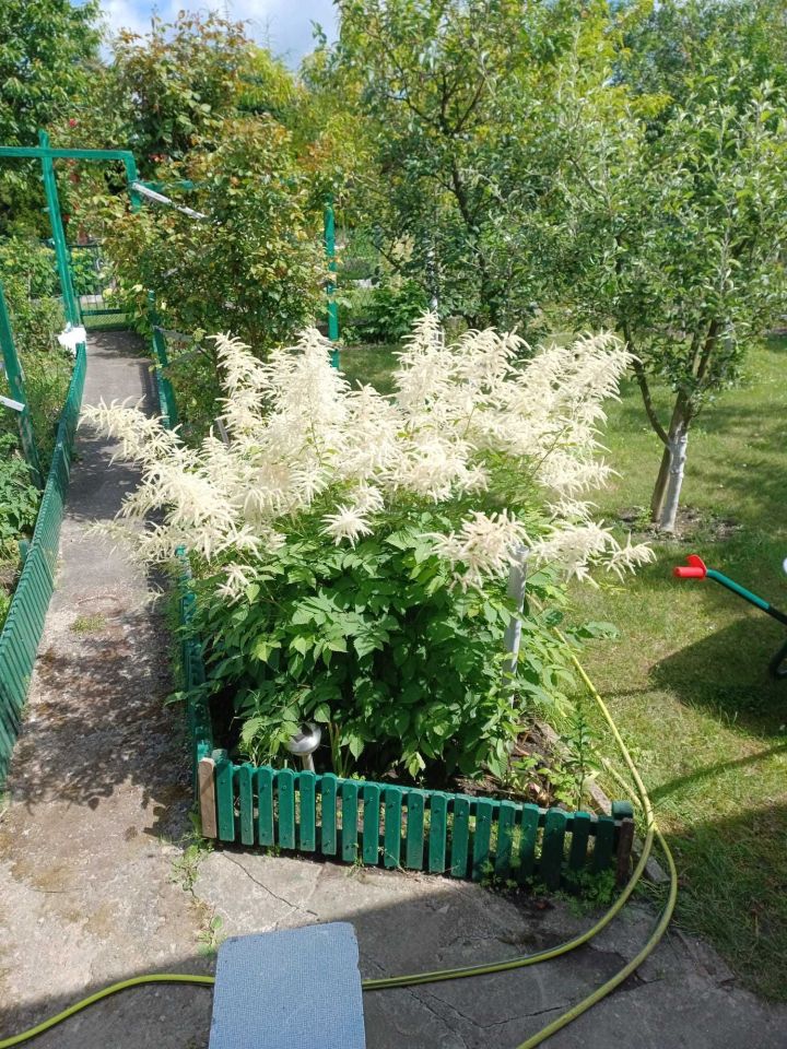 Działka rod Lubin. Zdjęcie 5