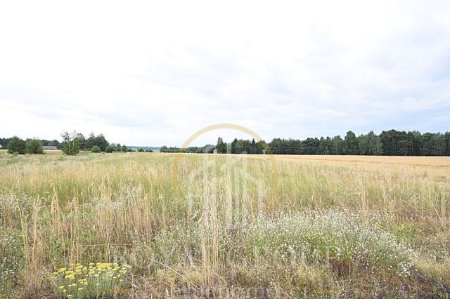 Działka siedliskowa Górka. Zdjęcie 1