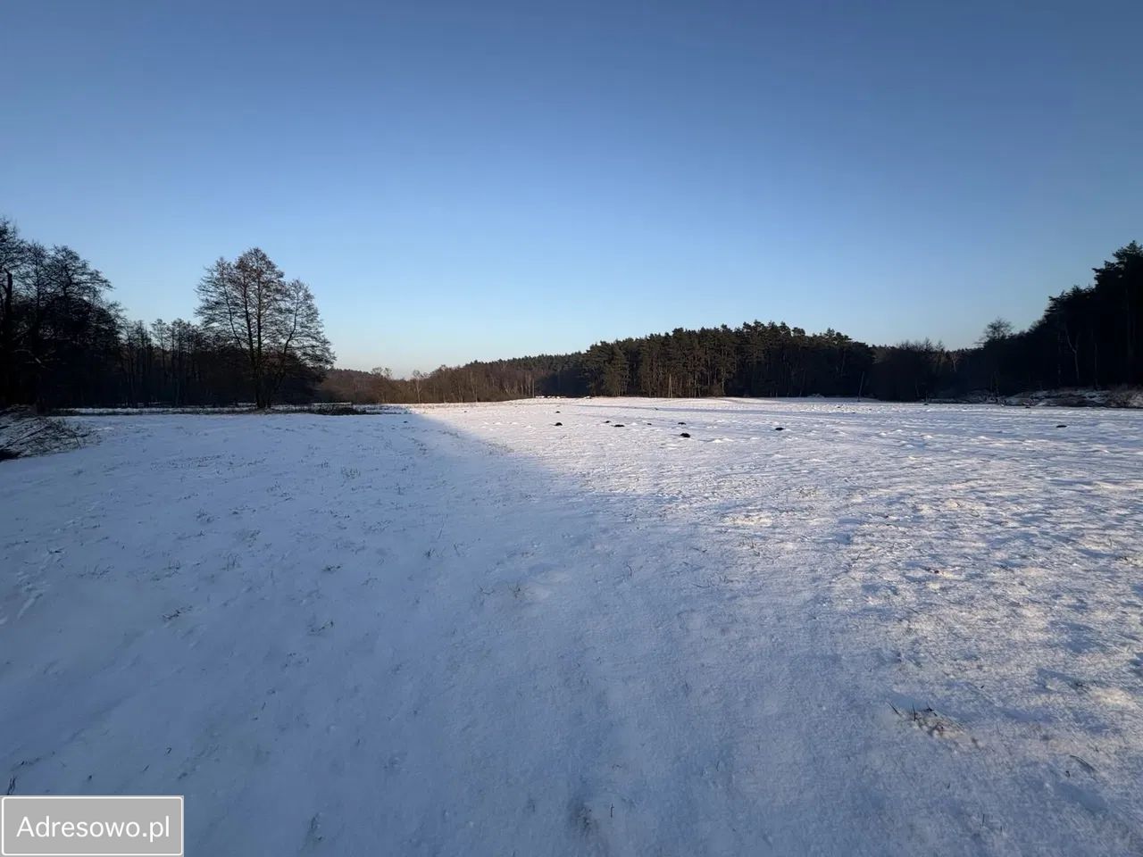 Działka rekreacyjna Dębówiec. Zdjęcie 3