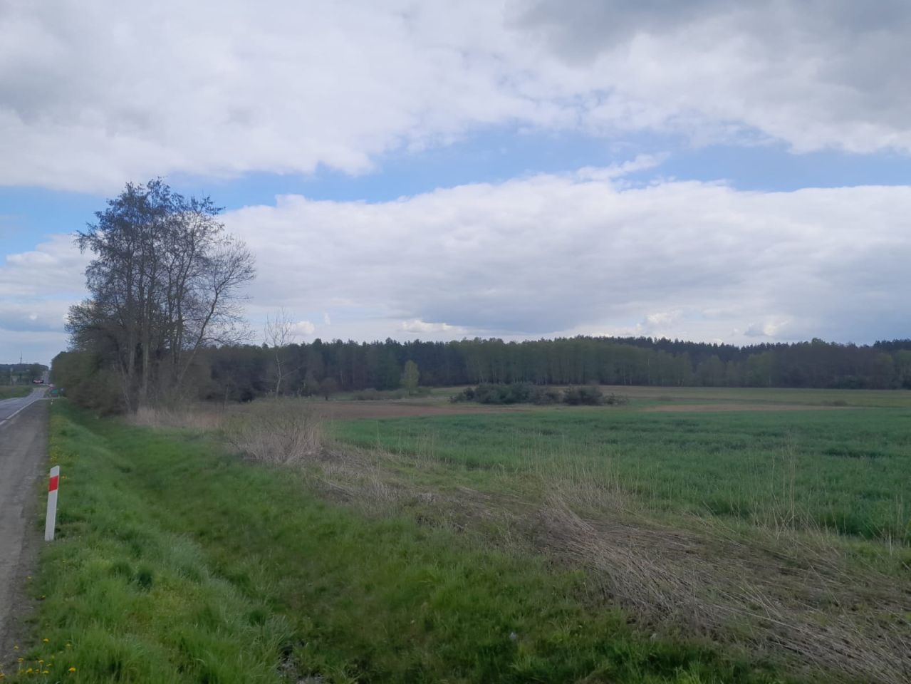 Działka inwestycyjna Młyny. Zdjęcie 8