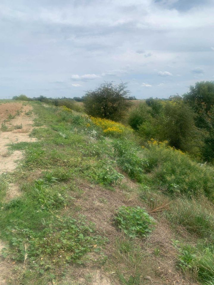 Działka rolna Krępiny. Zdjęcie 4