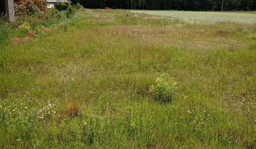 Działka rolno-budowlana Aleksandria Aleksandria Druga, ul. Gwiezdna