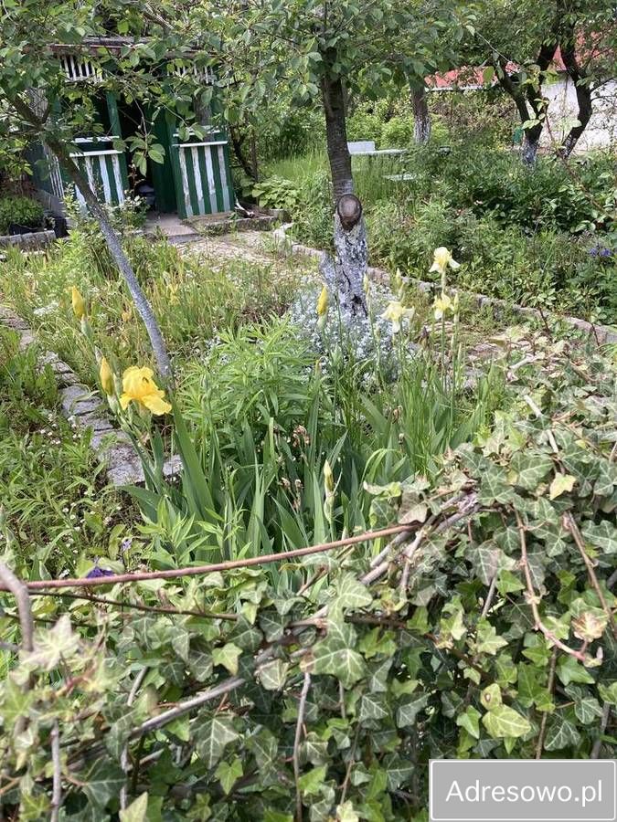 Działka rekreacyjna Legnica, ul. Chojnowska