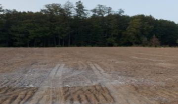 Działka budowlana Maciejowice