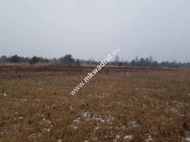 Działka budowlana Czosnów. Zdjęcie 9