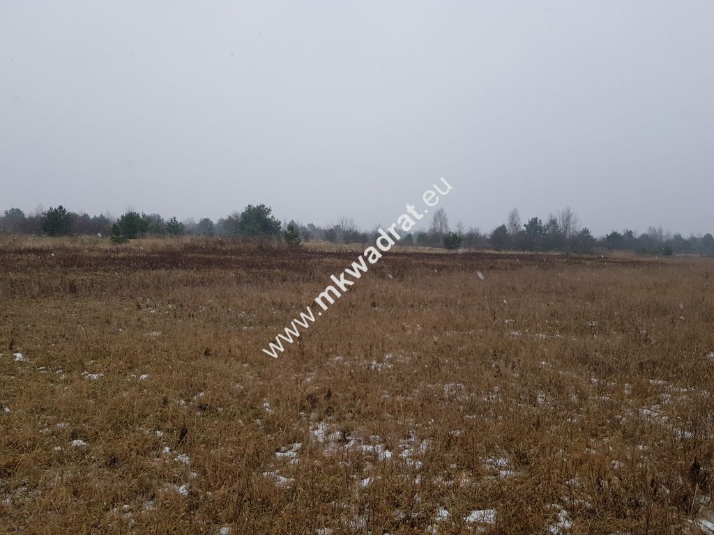 Działka budowlana Czosnów. Zdjęcie 9