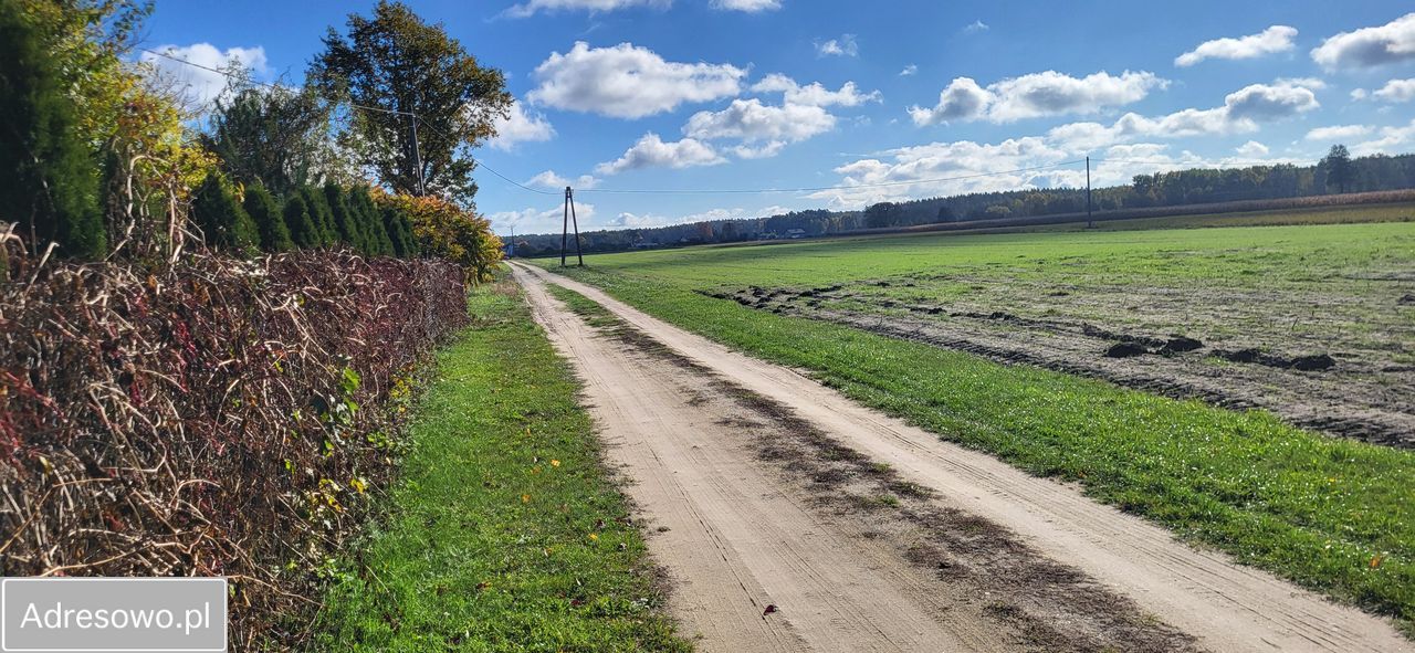 Działka rolno-budowlana Wilków. Zdjęcie 4