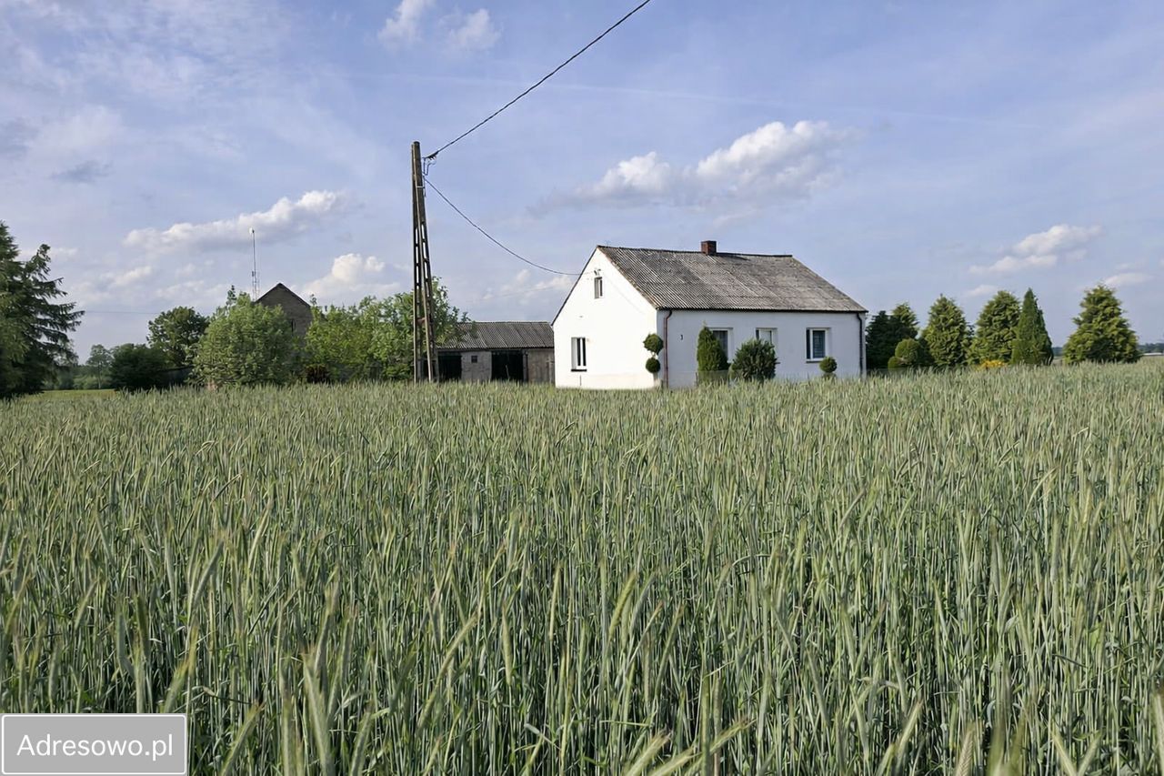 dom wolnostojący, 5 pokoi Trzaski. Zdjęcie 4