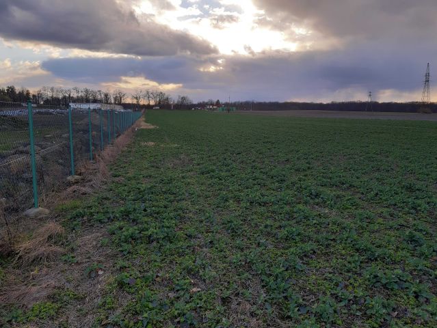 Działka inwestycyjna Nowy Jaworów. Zdjęcie 5