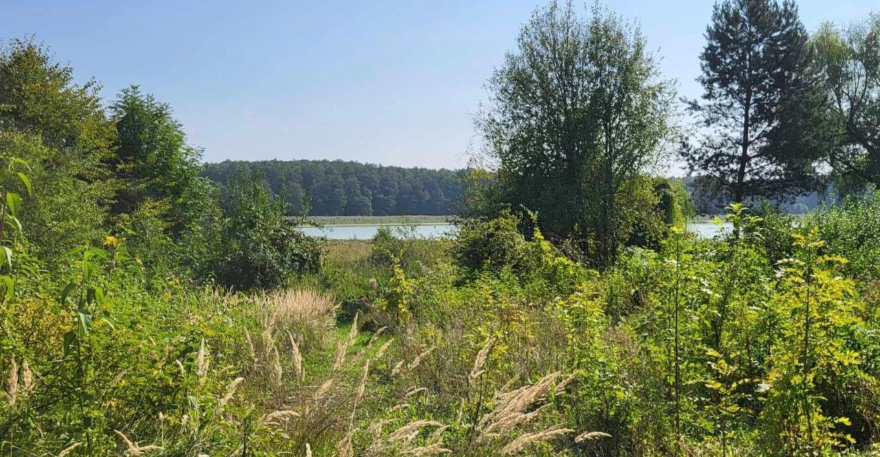 Działka rekreacyjna Pniewo. Zdjęcie 5