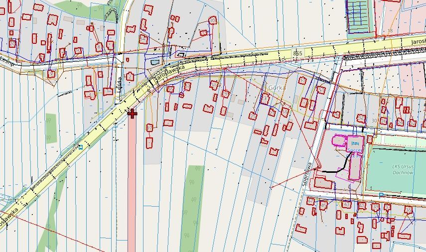 Działka rolno-budowlana Dachnów. Zdjęcie 2
