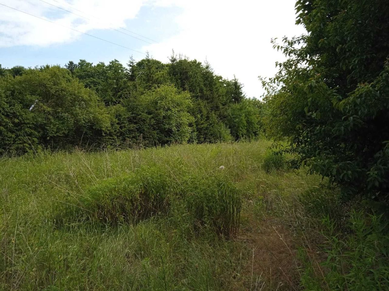 Działka budowlana Obrzycko, ul. Zielona. Zdjęcie 3