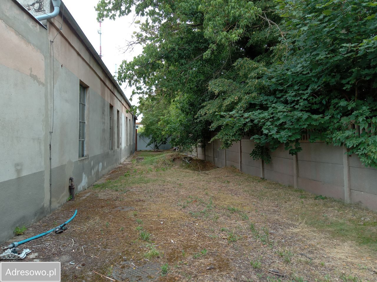 Hala/magazyn Szprotawa, ul. Sobieskiego. Zdjęcie 6