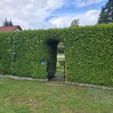 Działka rod Biedrusko. Zdjęcie 3