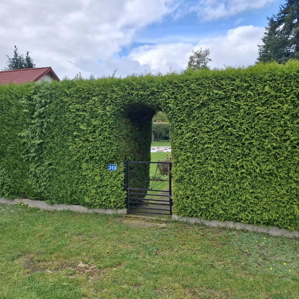 Działka rod Biedrusko. Zdjęcie 4