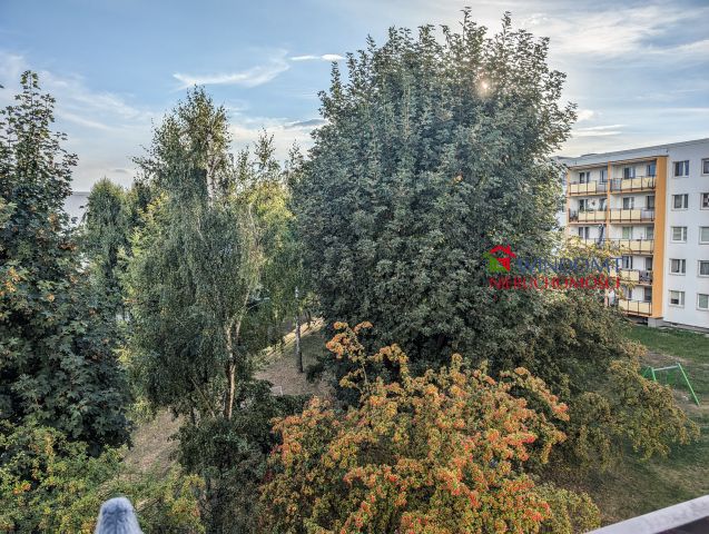 Mieszkanie 3-pokojowe Radzionków, ul. Sadowa. Zdjęcie 15